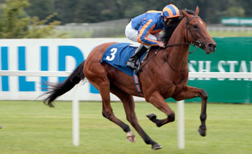 Zoffany - Leopardstown - 22.7.2010