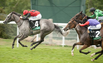 Tropical Paradise - Goodwood - 30.07.2010