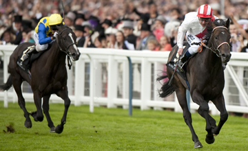 Zaidan wins the Chesham Stakes Royal Ascot 19.06.2010 Zaidan wins the Chesham Stakes Royal Ascot 19.06.2010