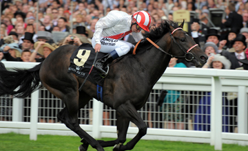Zaidan wins the Chesham Stakes Royal Ascot 19.06.2010 Zaidan wins the Chesham Stakes Royal Ascot 19.06.2010
