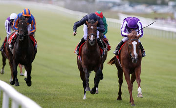 Cape Blanco wins The Irish Derby Curragh 27.06.2010 Cape Blanco wins The Irish Derby Curragh 27.06.2010
