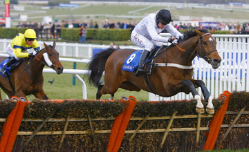 Spirit River wins the Coral Cup Cheltenham 17.03.2010 Spirit River wins the Coral Cup Cheltenham 17.03.2010