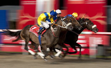 Gloria De Campeao (Tiago Pereira,farside) wins the Dubai World Cup from Lizard's Desire(near) and Allybar Meydan 27.03.2010 Gloria De Campeao (Tiago Pereira,farside) wins the Dubai World Cup from Lizard's Desire(near) and Allybar Meydan 27.03.2010