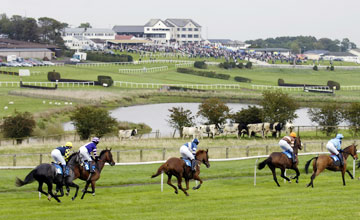 Hexham and Gowran Park pass morning inspections  Horse Racing News 