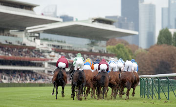 Longchamp Longchamp