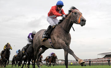 Fury wins the Tattersalls Millions 2YO Trophy at Newmarket 02.10.2010 Fury wins the Tattersalls Millions 2YO Trophy at Newmarket 02.10.2010