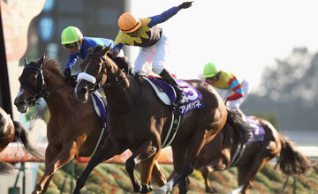 Apapane wins the Shuka Sho (G1) - Japan 17.10.2010 Apapane wins the Shuka Sho (G1) - Japan 17.10.2010