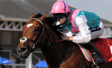 Frankel easily wins the Frank Whittle Conditions Stakes Doncaster 10.09.2010