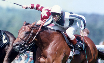 Kingmambo - wins the St James Palace Stakes - 1993