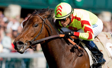 Turbulent Descent - Keeneland 4.17.2011 Turbulent Descent - Keeneland 4.17.2011