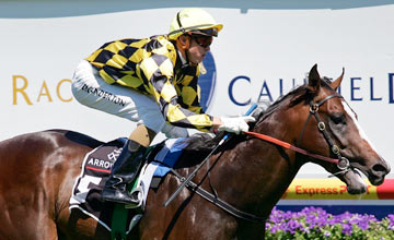 Beneteau crosses the line to win the Arrowfield Stud Blue Diamond Prelude (C & G) during the C.F. Orr Stakes Day meeting at Caulfield Racecourse on February 6, 2010