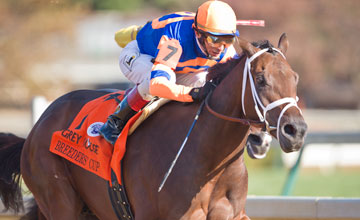 Uncle Mo at Breeders' Cup 2010