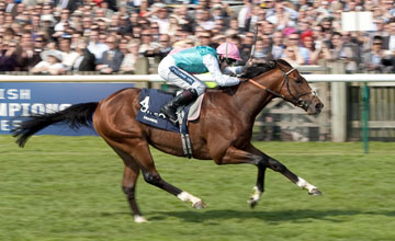 Frankel - - Newmarket Guineas Meeting 30.4.11