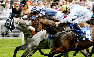 Secret Asset - York Ebor Meeting - 17.8.11 Secret Asset - York Ebor Meeting - 17.8.11