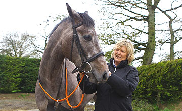 Laughing Lashes - Jessica Harrington - 2011 Laughing Lashes -Jessica Harrington - 2011