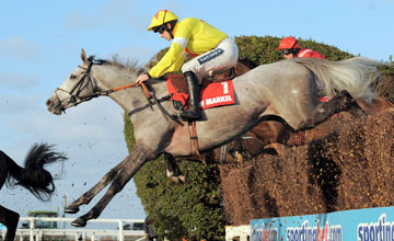 AL FEROF with R Walsh wins Novice Chase at Sandown