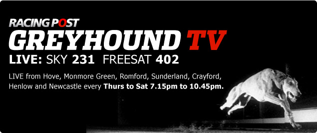 RACING POST Greyhound TV | Live Greyhound Racing | Sky Channel 231