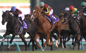 Orfevre wins Arima Kinen December 2011 Orfevre wins Arima Kinen December 2011