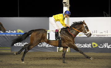 Bold Silvano - Meydan - 03.02.2011