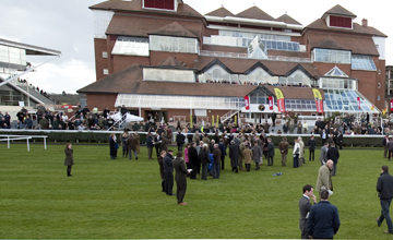 Newbury Horses Die