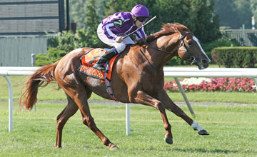 Cape Blanco wins Man o'War Stakes in US