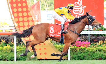Outsider Clint takes Singapore Derby