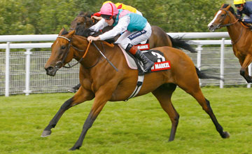 Midday - Goodwood - 30/07/2011