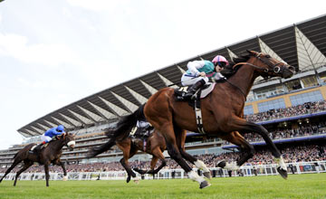 Frankel: King of the Flat performers in the last 30 years