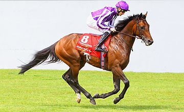 Treasure Beach - Irish Derby - June 2011