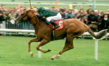 Generous: landed the Epsom Derby in 1991