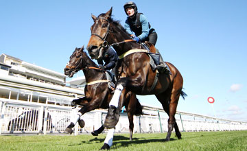 Big Fella Thanks (Tory Hayter) - Aintree 22.03.11 Big Fella Thanks (Tory Hayter) - Aintree 22.03.11