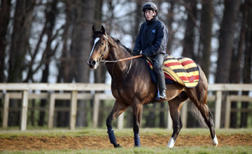 Dream Ahead on Warren Hill, Newmarket 29.03.11 Dream Ahead on Warren Hill, Newmarket 29.03.11