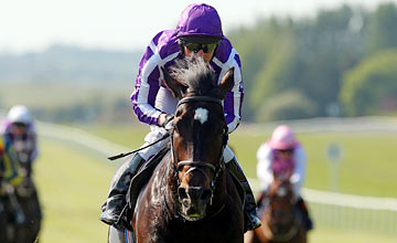 So You Think - Curragh - 02.05.2011