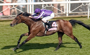 St Nicholas Abbey - 2.55 Chester - 6.5.11