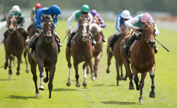 Midday Tom Queally Right Beats Sajjhaa In The Middleton Stakes York 12 5 11 Midday Tom Queally Right Beats Sajjhaa In The Middleton Stakes York 12 5 11