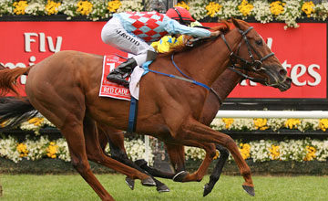 Dunaden (far side) beats Red Cadeaux - Melbourne Cup - Flemington - 01.11.2011