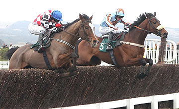 The Giant Bolster (near) - Vino Griego (far) - Cheltenham