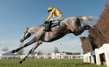 Al Ferof - Cheltenham 13/11/2011