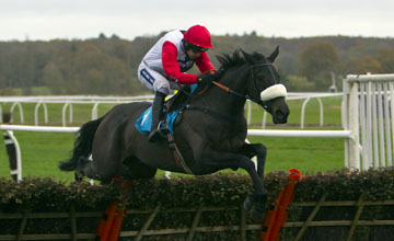 Big Bucks - Newbury - 26/11/2011 Big Bucks - Newbury - 26/11/2011