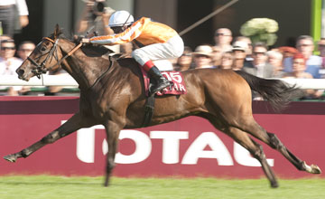 Danedream (Andrasch Starke) wins the Prix de l'Arc de Triomphe