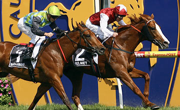 Helmet - Caulfield Racecourse 08.10.2011