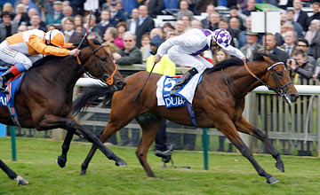 Parish Hall - Newmarket 08.10.2011