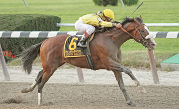 Union Rags and jockey Javier Castellano win the Gr I Champagne at Belmont Park 10/8/11