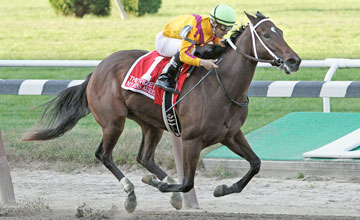 My Miss Aurelia and jockey Corey Nakatani win the Gr I Frizette at Belmont Park 10/8/11 My Miss Aurelia and jockey Corey Nakatani win the Gr I Frizette at Belmont Park 10/8/11