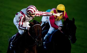 Cirrus Des Aigles - Ascot - 15/10/2011