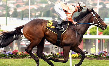 2012 Orr Stakes - Black Caviar