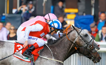 Jukebox Jury and Duncan dead heat in the Irish St Leger