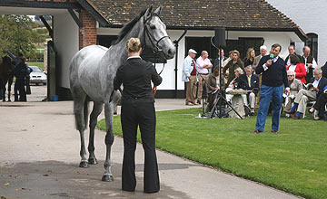 Simonsig - Nicky Henderson Owners' Day Simonsig - Nicky Henderson Owners' Day
