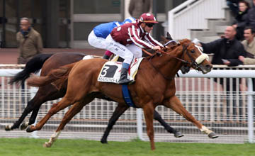 French Fifteen - Maisons-Laffitte - 05.04.2012