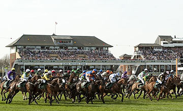 Grand National holding pic 1 (2011) Grand National holding pic 1 (2011)
